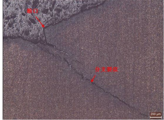擴展區縱橫截面金相組織