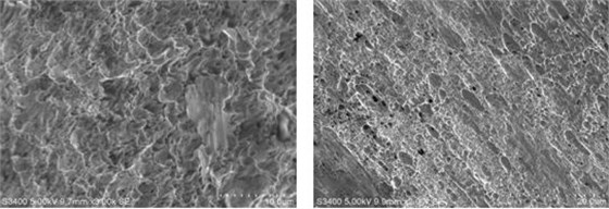 圖15-3 韌窩斷口 圖15-4 方向性明顯的韌窩 圖15-3 韌窩斷口 圖15-4 方向性明顯的韌窩