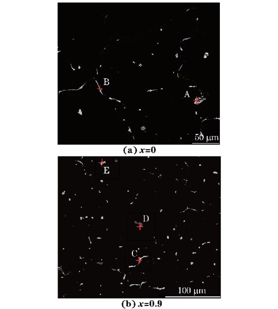 圖3 鑄態MgG5ZnG1MnGxSn合金的背散射電子像 圖3 鑄態MgG5ZnG1MnGxSn合金的背散射電子像