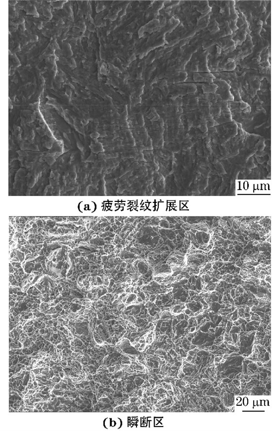 ３００M 鋼試樣疲勞斷口不同區域的SEM 形貌