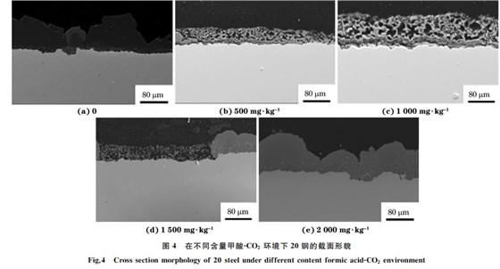 圖４ 在不同含量甲酸ＧCO２ 環境下２０鋼的截面形貌