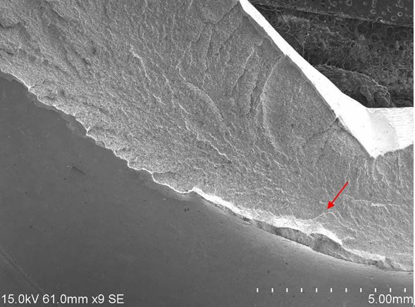 斷面A2區低倍形貌
