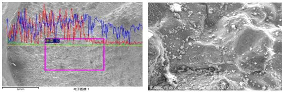 圖13-23 斷面能譜分析 斷面圓弧區微觀形貌