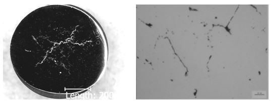 圖14-78 失效件拋光態低倍組織 圖14-79 失效件拋光態顯微組織 圖14-78 失效件拋光態低倍組織 圖14-79 失效件拋光態顯微組織