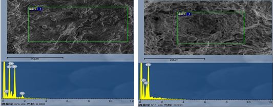 圖13-16月牙狀區域斷面成分截圖 圖13-17 非月牙狀區域斷面成分截圖