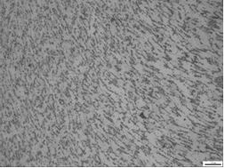 圖14-73 球化珠光體組織 圖14-73 球化珠光體組織