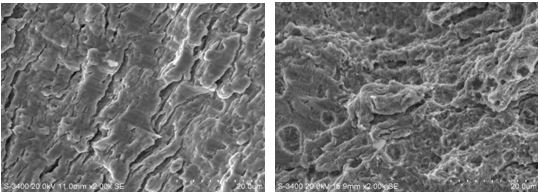圖11-64一號樣斷面擴展器微觀形貌 圖11-65 一號樣終斷區微觀形貌
