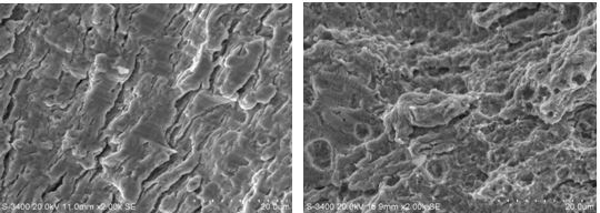 圖11-64一號樣斷面擴展器微觀形貌 圖11-65 一號樣終斷區微觀形貌