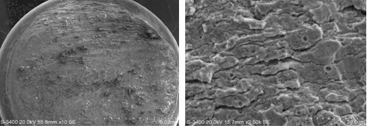 圖11-66 二號樣斷面宏觀形貌 圖11-67二號樣斷面擴展區微觀形貌