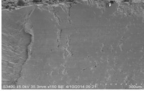 圖11-118 斷面C區微觀形貌
