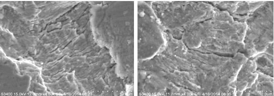 圖11-119 斷面D區的疲勞條帶 圖11-120 斷面E區的疲勞條帶