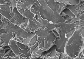 圖11-122 斷面G區的準解理斷裂形貌