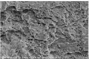 圖11-123斷面H區微觀形貌