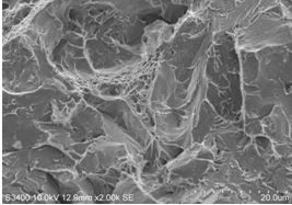圖12-63 擴展區斷口微觀形貌。