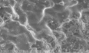 圖13-89 斷面圓弧區微觀形貌