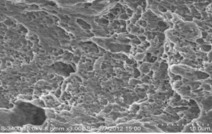 圖13-93 斜斷面微觀形貌 圖13-93 斜斷面微觀形貌