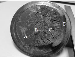 圖11-211 軸斷口宏觀形貌 圖11-211 軸斷口宏觀形貌