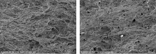 圖11-216斷面D區微觀形貌 圖11-217斷面孔洞形貌 圖11-216斷面D區微觀形貌 圖11-217斷面孔洞形貌