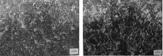 圖11-218 圓角處表面金相組織 圖11-219 心部金相組織 圖11-218 圓角處表面金相組織 圖11-219 心部金相組織