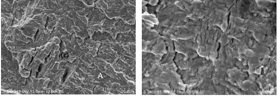 圖11-186 斷面裂紋擴展區微觀形貌 圖11-187 斷面裂紋擴展區微觀形貌