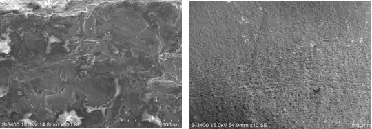 圖11-3 疲勞源區電鏡形貌圖11-4 疲勞裂紋擴展區宏觀形貌