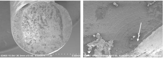 圖9-28 彈簧斷口低倍形貌 圖9-29 斷口疲勞源區及擴展區形貌