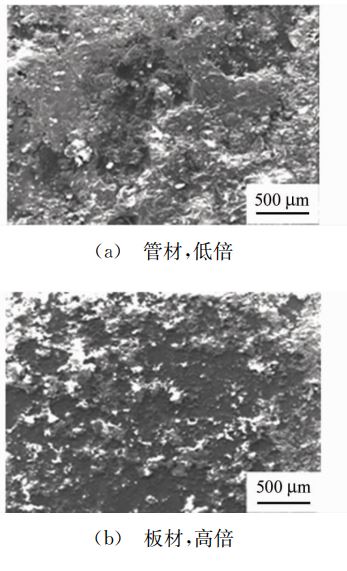 板材低高倍形貌組織一