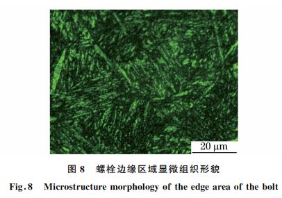 圖８ 螺栓邊緣區域顯微組織形貌
