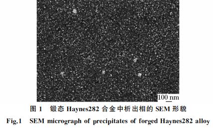 圖１ 鍛態 Haynes２８２合金中析出相的SEM 形貌