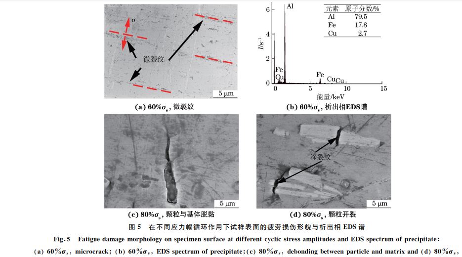 圖５ 在不同應力幅循環作用下試樣表面的疲勞損傷形貌與析出相 EDS譜